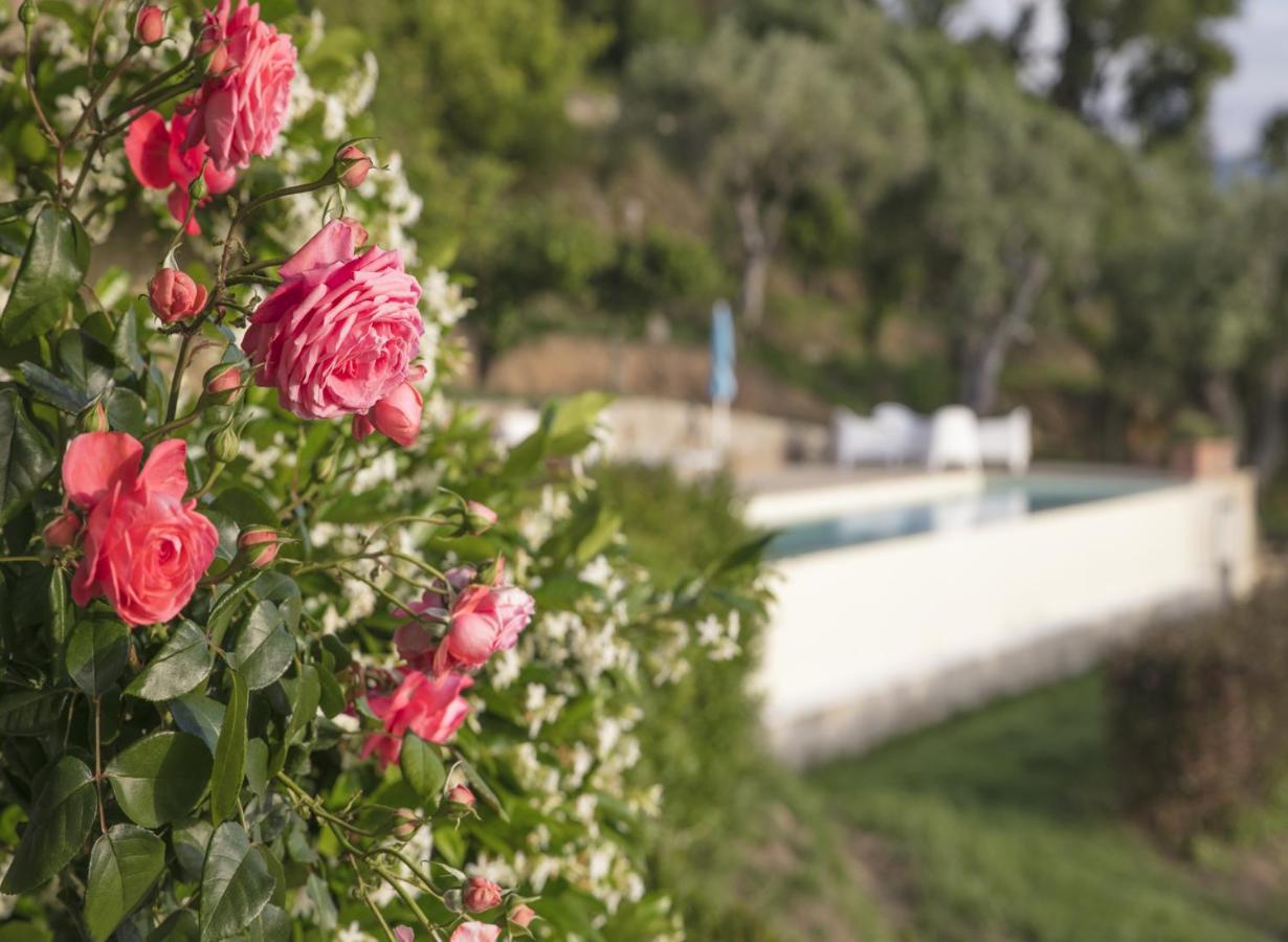 Villa Laura Capo dʼOrlando Eksteriør bilde